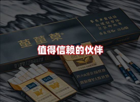 专业团队